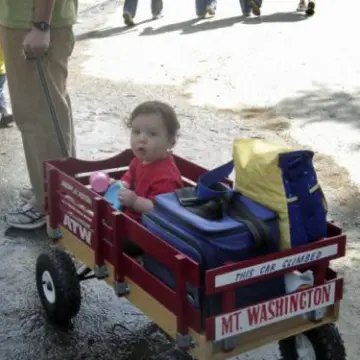 a small child sitting on a cart