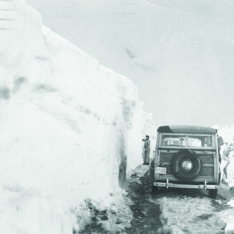 a person riding on the back of a truck