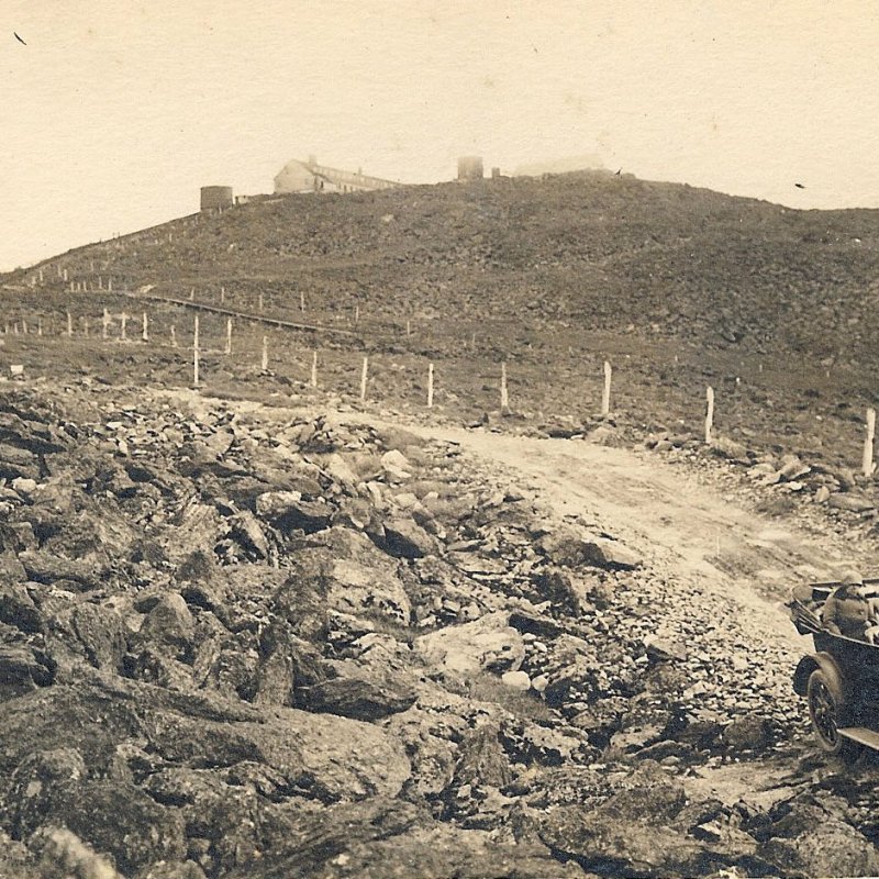 a herd of sheep standing on top of a dirt field
