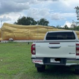 a car parked in a grassy field
